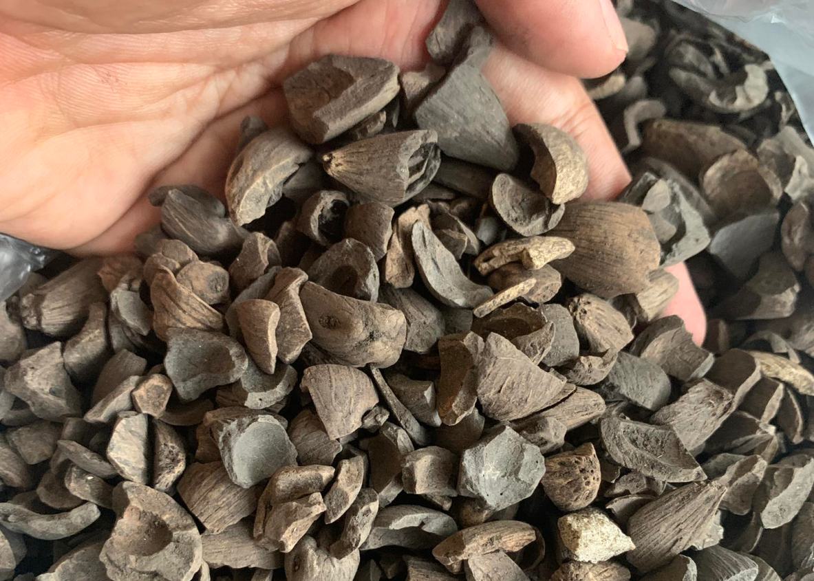 PT Terang Bungkil Agro Mandiri pt terang bungkil agro mandiri palm product 3