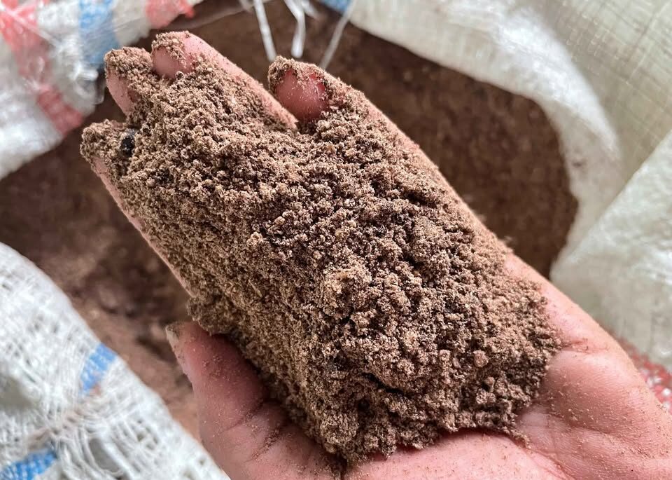 PT Terang Bungkil Agro Mandiri pt terang bungkil agro mandiri palm product 9